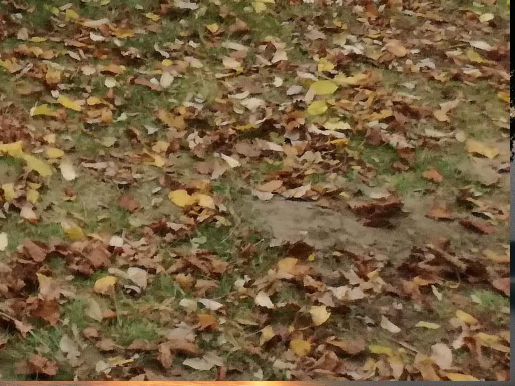 Východ slunce