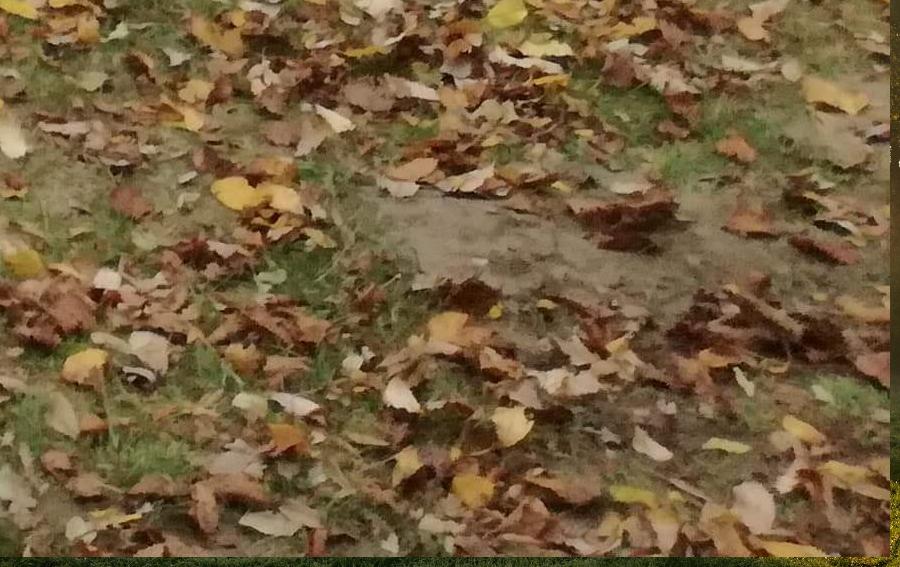 Jdeme na ně !