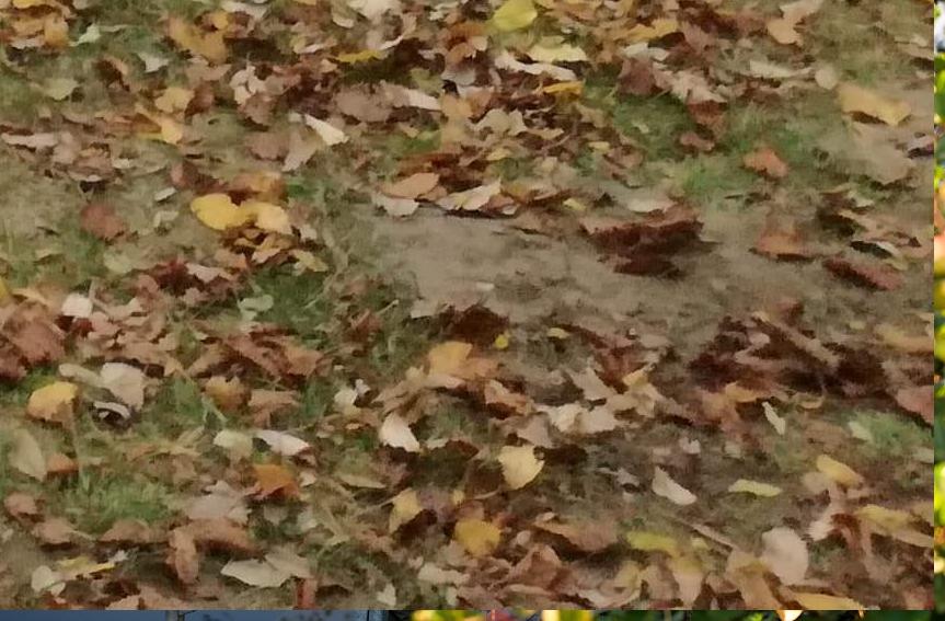 Něco je pod hladinou