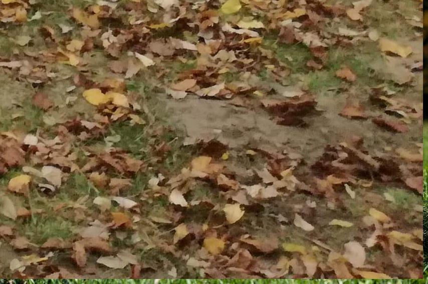 Co tam dát ?