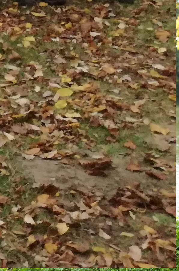 Porada s trenérem