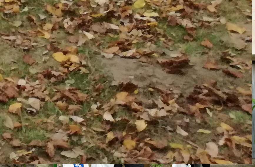 Kateřina je třetí v kategorii nad 15 let !!!
