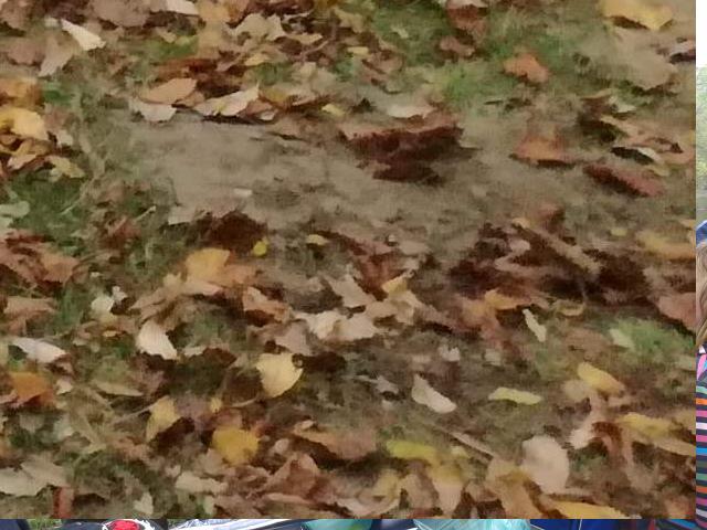 Vyhlášení výsledků