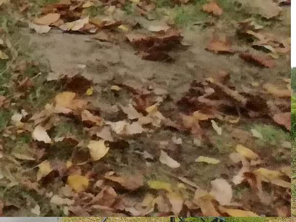 Vedoucí s Káťou