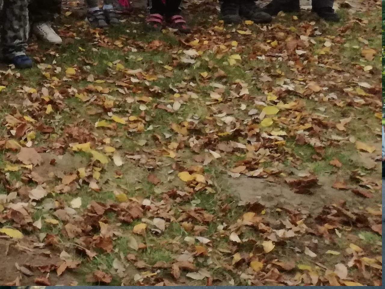 Vyhodnocení družstev