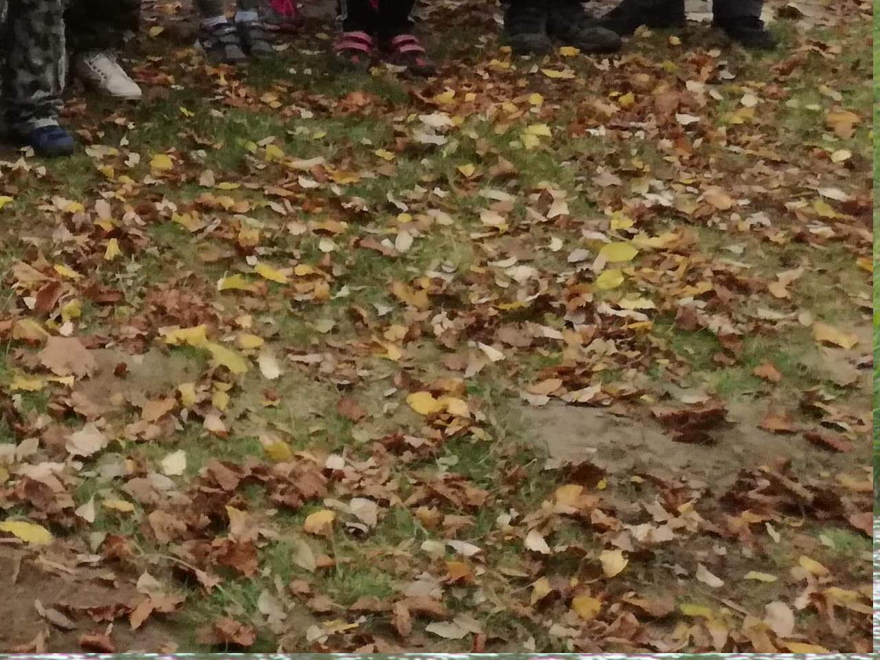 Závodní sektor