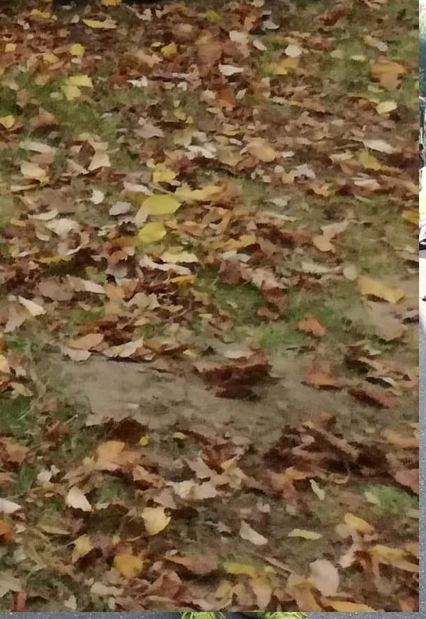 Jirka 1. místo ml. žáci